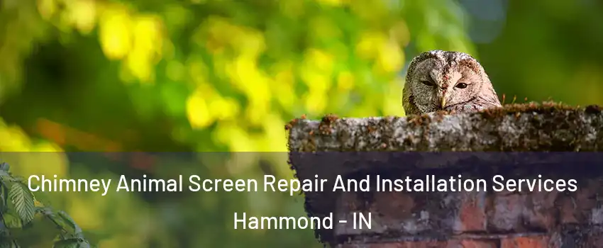  Chimney Animal Screen Repair And Installation Services Hammond - IN