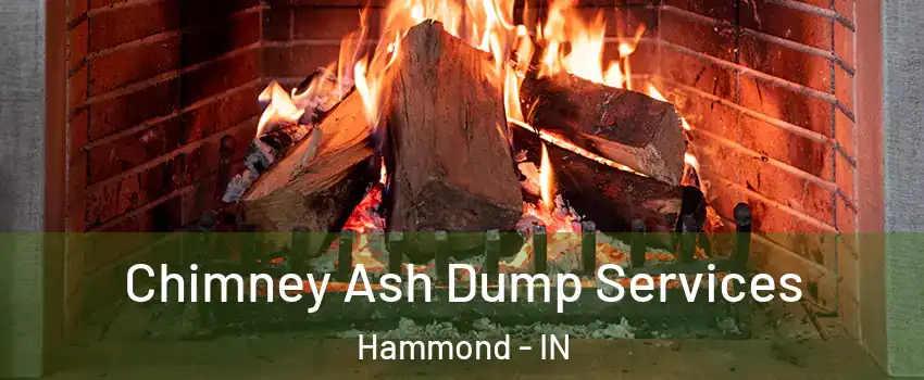  Chimney Ash Dump Services Hammond - IN