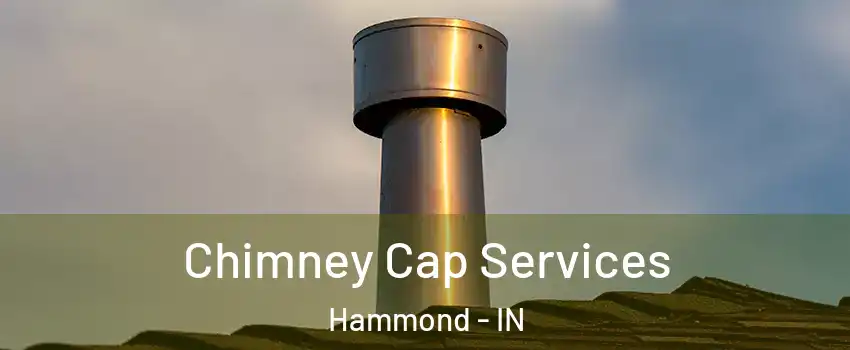  Chimney Cap Services Hammond - IN