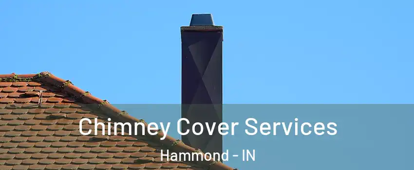  Chimney Cover Services Hammond - IN