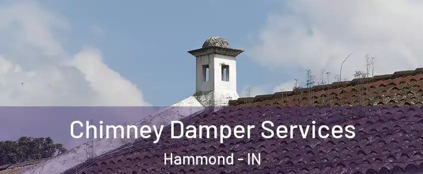  Chimney Damper Services Hammond - IN