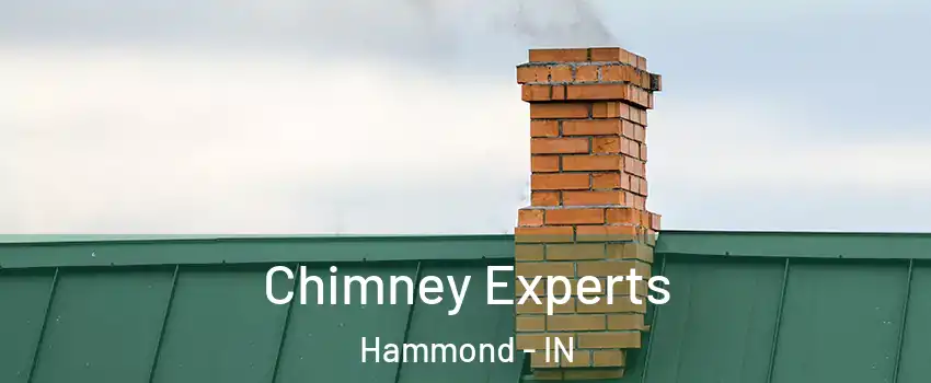  Chimney Experts Hammond - IN