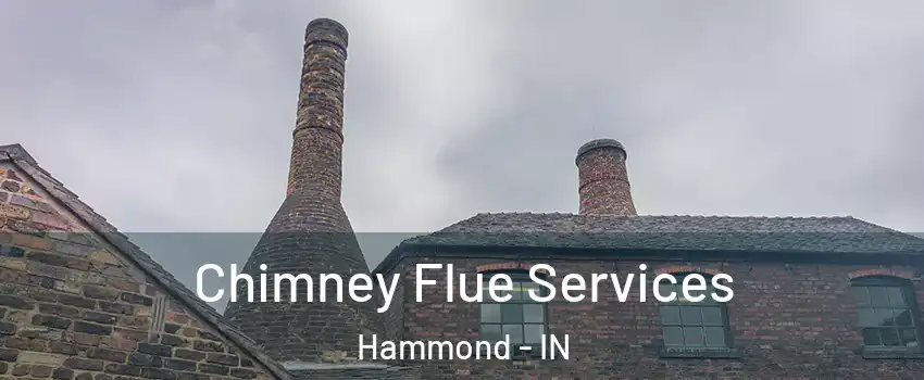  Chimney Flue Services Hammond - IN