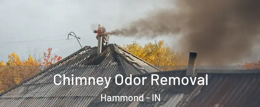  Chimney Odor Removal Hammond - IN