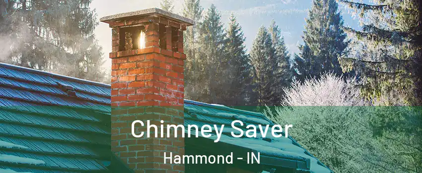  Chimney Saver Hammond - IN