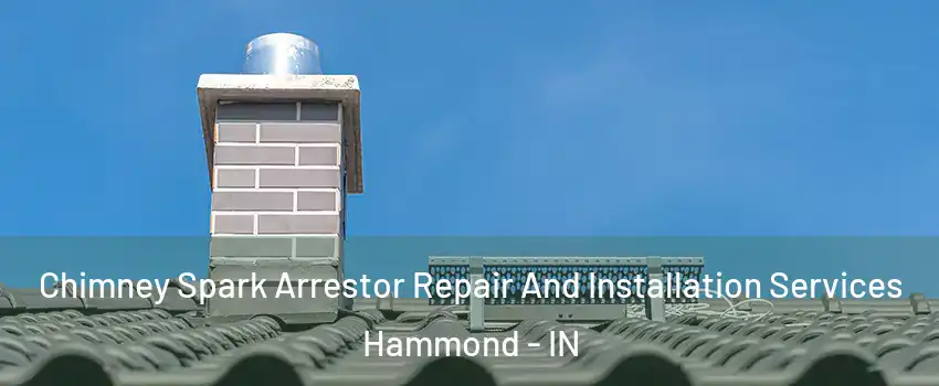  Chimney Spark Arrestor Repair And Installation Services Hammond - IN