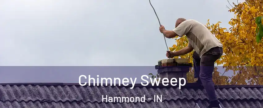  Chimney Sweep Hammond - IN