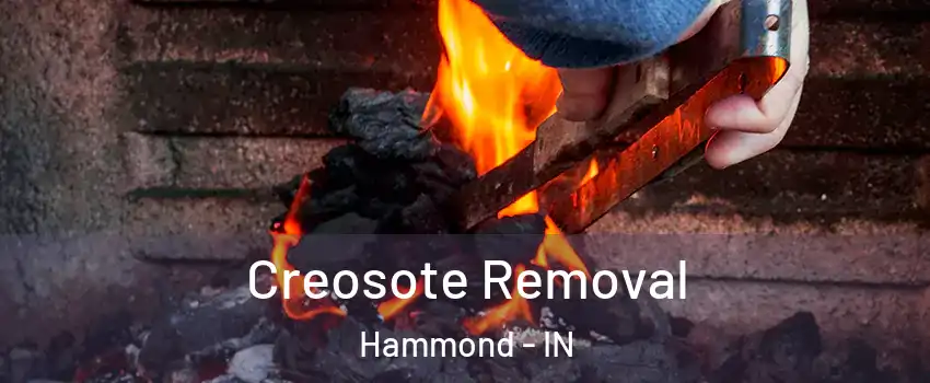  Creosote Removal Hammond - IN