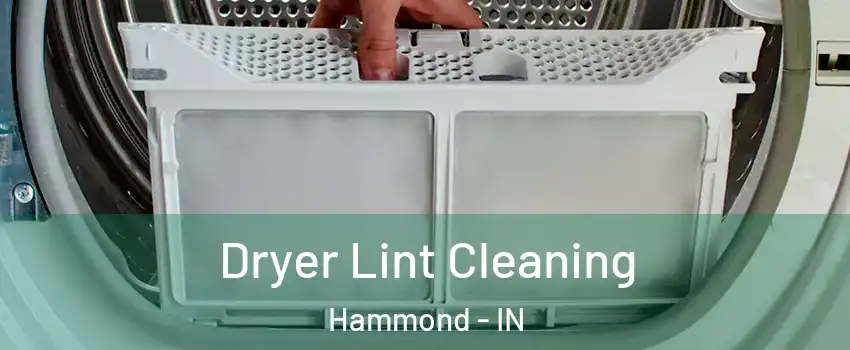  Dryer Lint Cleaning Hammond - IN