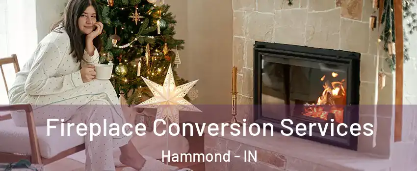  Fireplace Conversion Services Hammond - IN