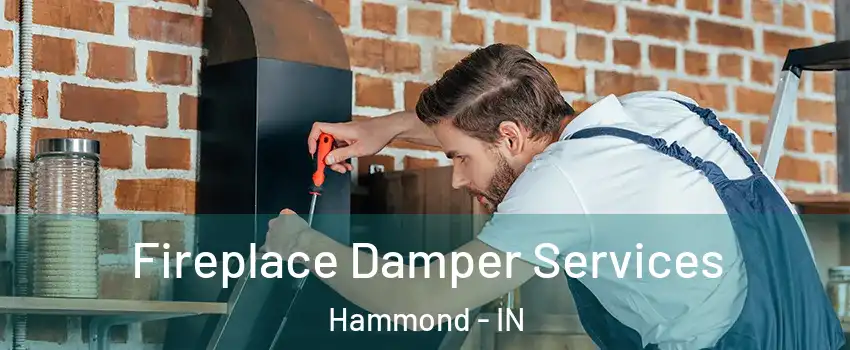  Fireplace Damper Services Hammond - IN