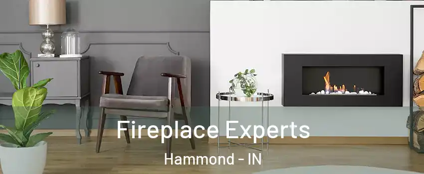  Fireplace Experts Hammond - IN
