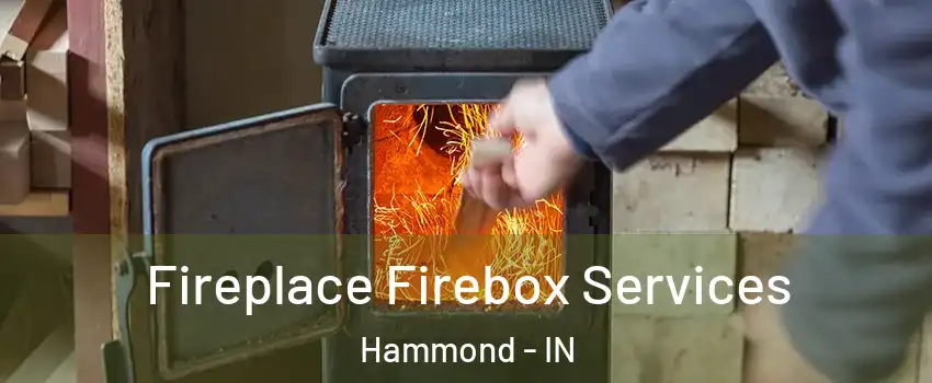  Fireplace Firebox Services Hammond - IN