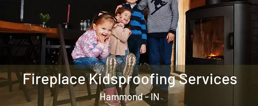  Fireplace Kidsproofing Services Hammond - IN