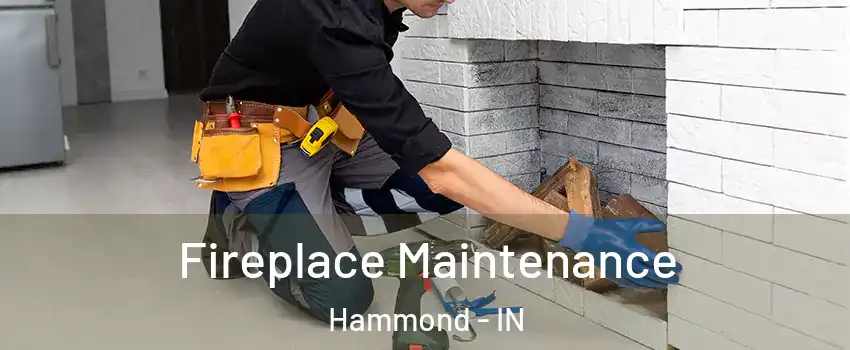  Fireplace Maintenance Hammond - IN