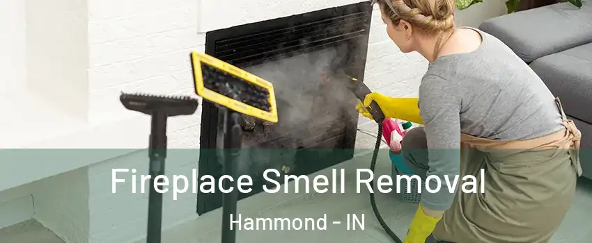  Fireplace Smell Removal Hammond - IN