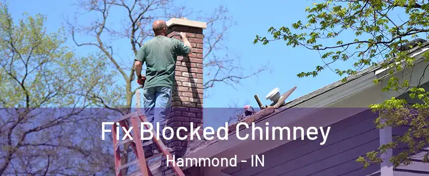  Fix Blocked Chimney Hammond - IN