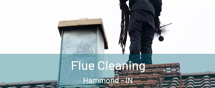  Flue Cleaning Hammond - IN
