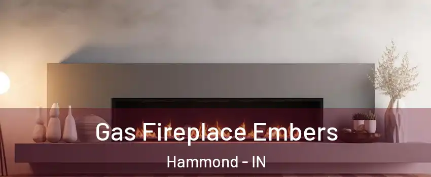  Gas Fireplace Embers Hammond - IN