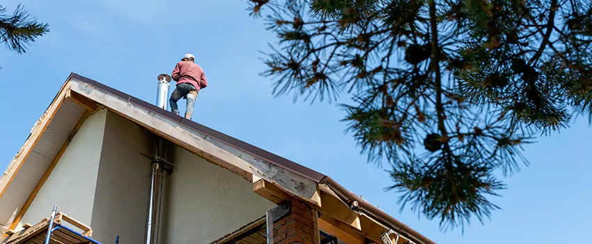 Birds Removal Contractors from Chimney in Hammond, IN