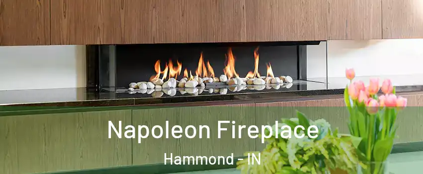  Napoleon Fireplace Hammond - IN