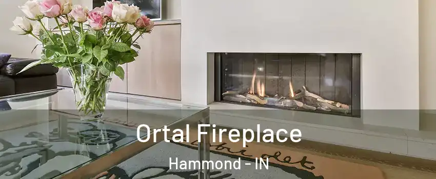  Ortal Fireplace Hammond - IN
