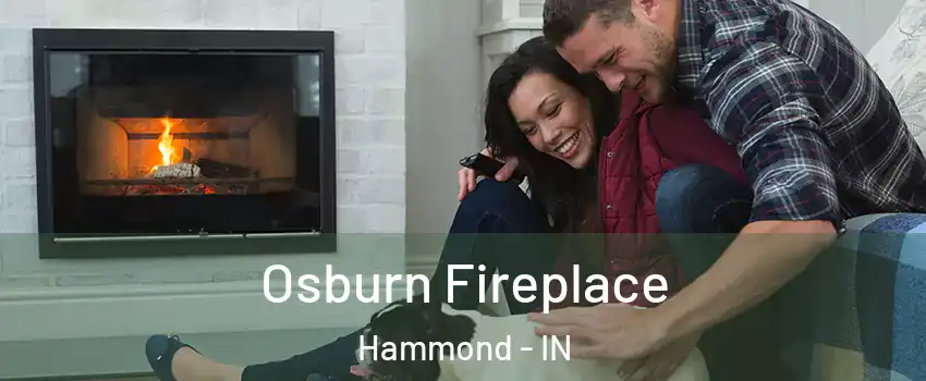  Osburn Fireplace Hammond - IN