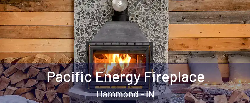  Pacific Energy Fireplace Hammond - IN